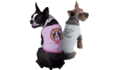 Pet Clothing